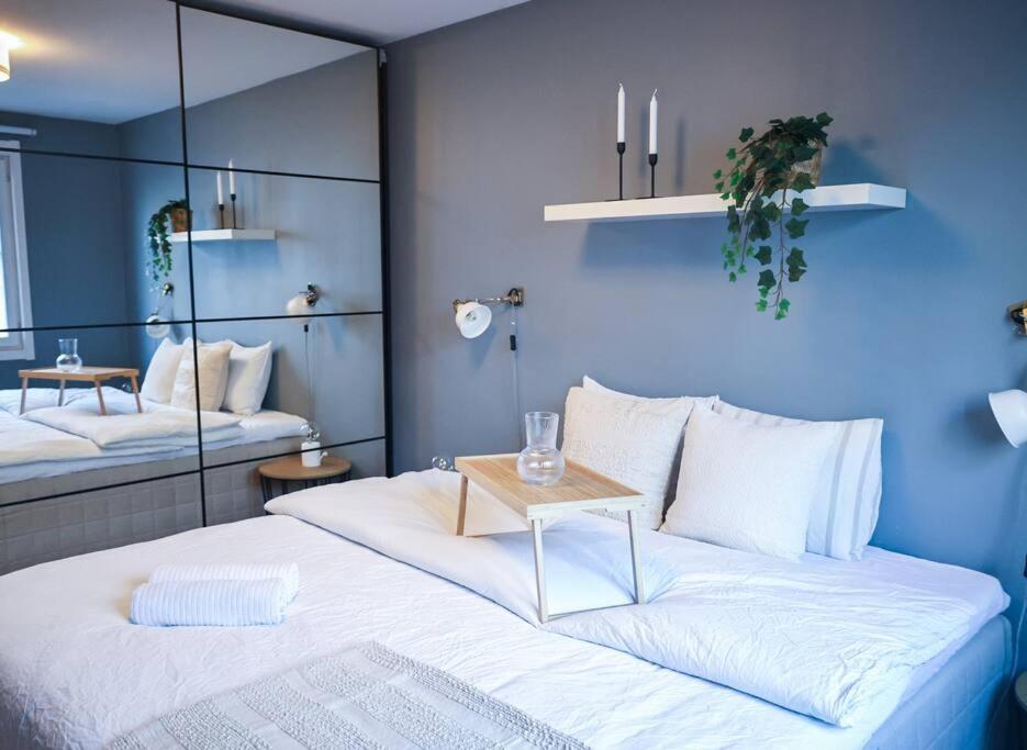 Live In A Stylish In The Center Of Apartment Oslo